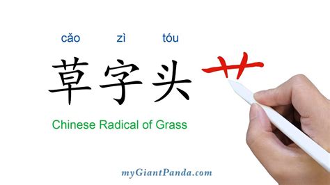 草字頭好字|草字頭的字有哪些